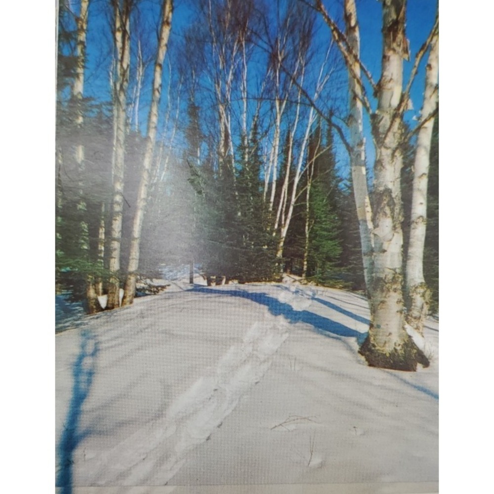 11 Old Vintage Used Christmas Card Fronts for Crafts Winter Snow Country Woods - Picture 8 of 16